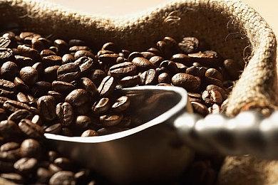 蒸汽平台生存游戏节今日开启，《方舟生存进化》史低特卖